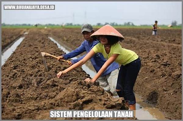 sistem-pengelolaan-tanah-optimal_083a4a619.jpg