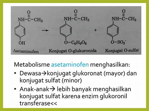 metabolisme-zat-kimia-obat_4b37abb8c.jpg