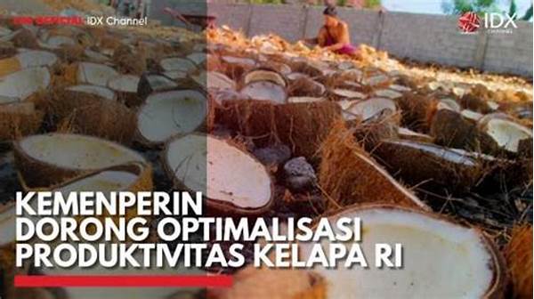 optimalisasi-produktivitas-di-kondisi-kering_90b91b51d.jpg