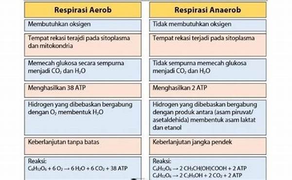 perbedaan-respirasi-aerobik-dan-anaerobik_f9d7ed464.jpg