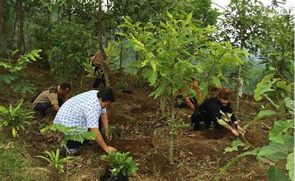 strategi-efektif-reboisasi-lahan-kritis_e4edd0fab.jpg