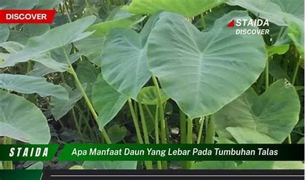 tumbuhan-tropis-dengan-daun-lebar_37d08077f.jpg