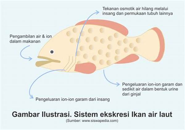 hubungan-ikan-dan-invertebrata-air_72c953c16.jpg
