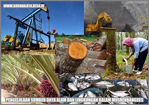 penggunaan-sumber-daya-alam-berkelanjutan_d03862fef.jpg