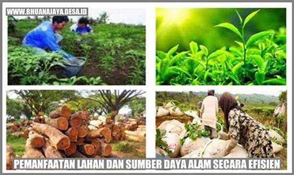 pemanfaatan-sumber-daya-alam-untuk-makanan_a6a21c187.jpg