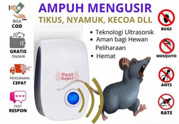 pengendalian-tikus-tanpa-bahan-kimia_db08e1394.jpg