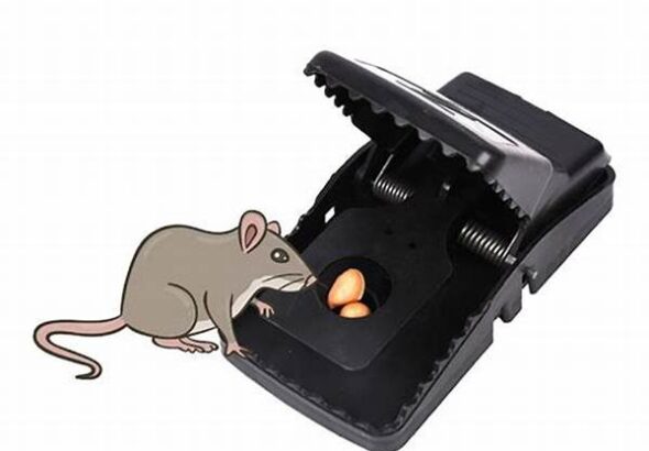 perangkat-pemantauan-hama-tikus_92e5c9ae4.jpg