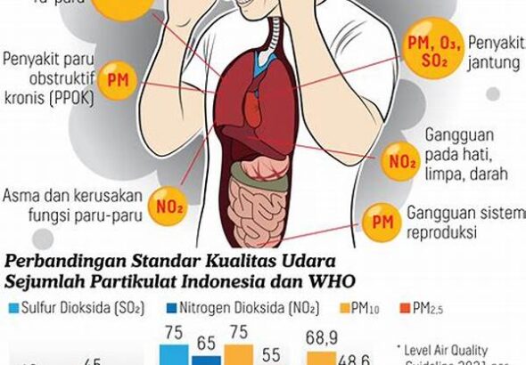 polusi-udara-dan-kerusakan-paru-paru_d88e37e29.jpg