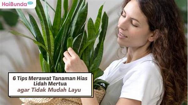 tips-merawat-tanaman-hias-naungan_cc0146676.jpg