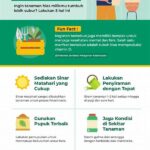 tips-perawatan-harian-tanaman-hias_70878abe3.jpg
