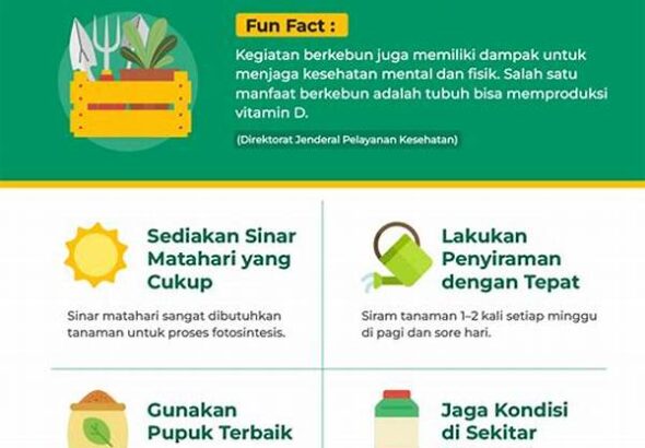 tips-perawatan-harian-tanaman-hias_70878abe3.jpg