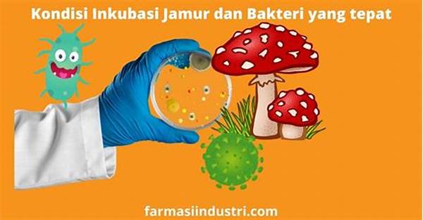 wadah-hermetis-anti-jamur-dan-bakteri_a07a2ff8b.jpg