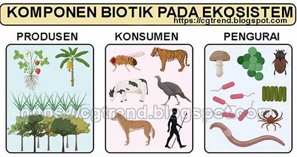 definisi-komponen-biotik-sekolah_1e8f4d077.jpg