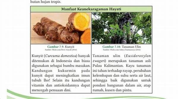 manfaat-keanekaragaman-hayati-dengan-siamang_5ecc21db1.jpg