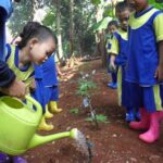 pendidikan-lingkungan-untuk-kesadaran-hutan_2d2242b4c.jpg