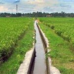 teknik-irigasi-dengan-bambu_bf4273b0c.jpg